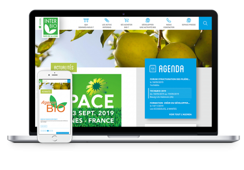 Site internet Interbio Pays de la Loire - smartphone et écran de bureau