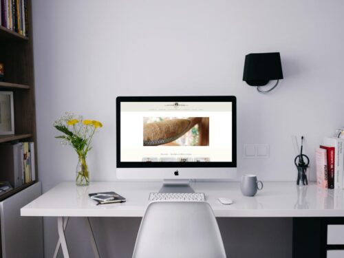 Création de boutique en ligne Factory Vintage, écran avec la page d'accueil du site