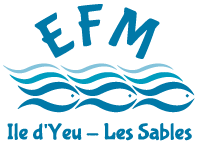 logo Ecole des Formations Maritimes